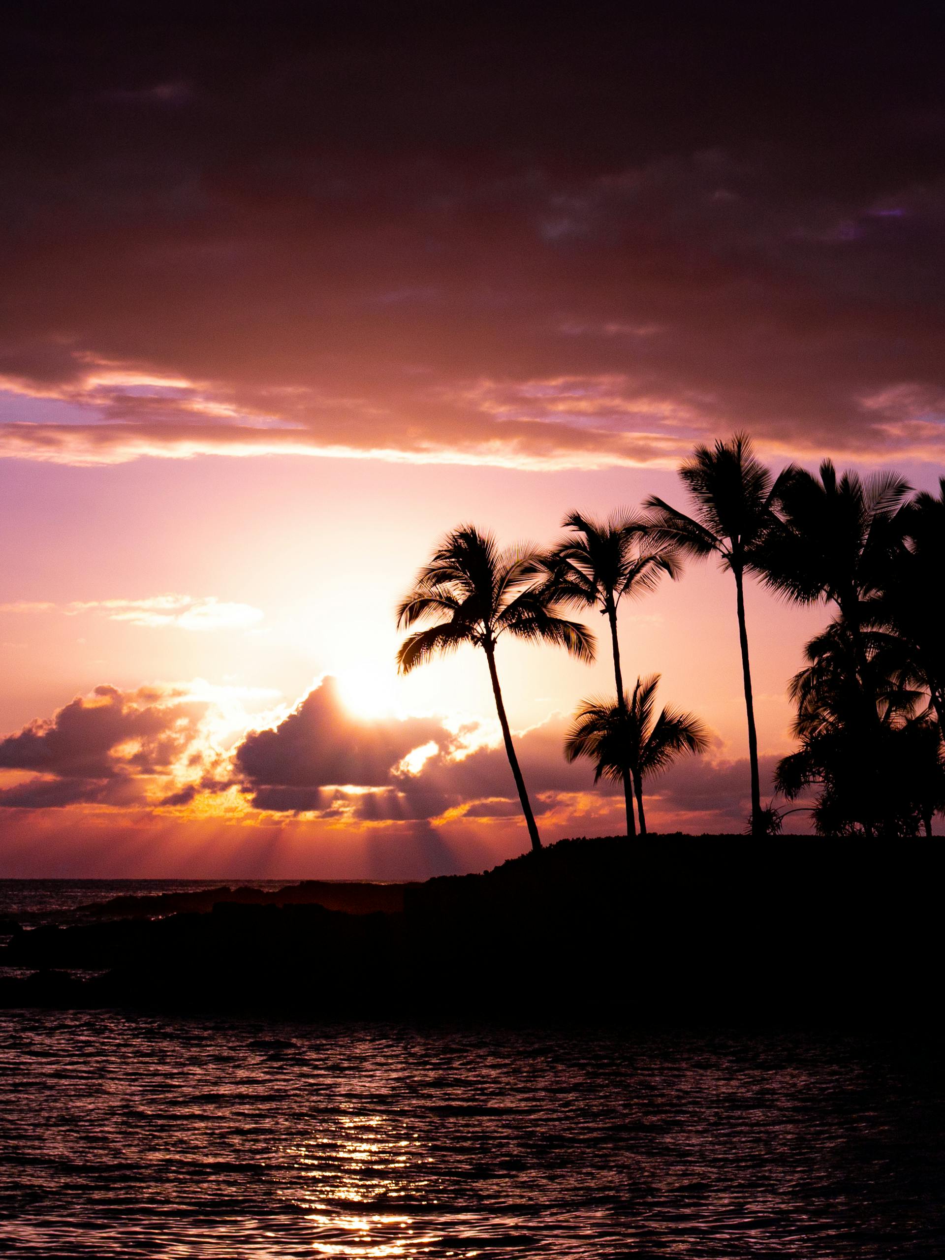 Silhouetted palm trees against a breathtaking tropical sunset in Kailua-Kona, Hawaii where hotel rates direct can get amazing Hawaii group hotel rates.