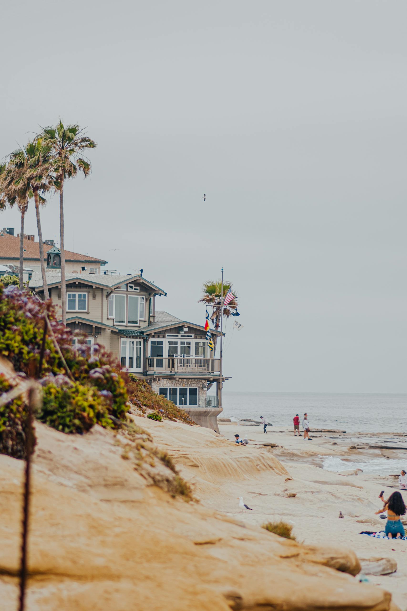 Beautiful beachside houses and palm trees in San Diego, California, USA. HRD offers great San Diego Group Hotel Rates. 