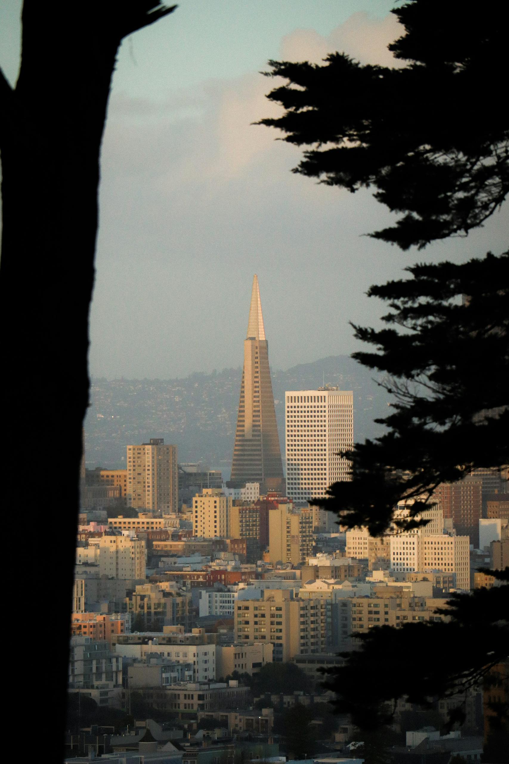 View of San Francisco skyline with Transamerica Pyramid during golden hour. HRD gets you the best San Francisco Group Hotel Rates.