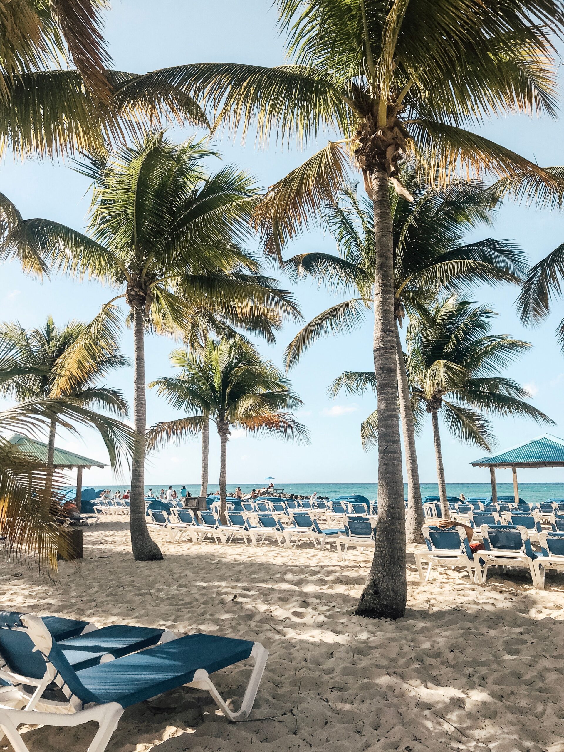 Sunny beach in Nassau with palm trees, sunbeds, and golden sand inviting relaxation in tropical paradise